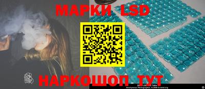 прущие грибы Новозыбков