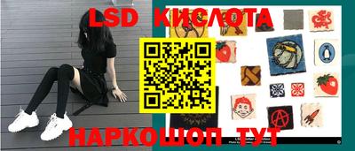 прущие грибы Новозыбков