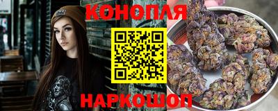 прущие грибы Новозыбков