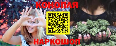 spice Новодвинск