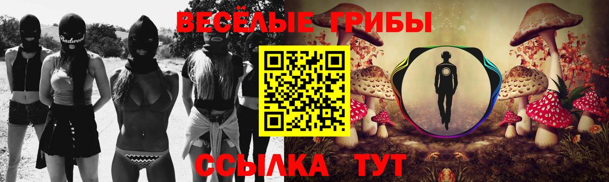 Псилоцибиновые грибы Psilocybe Северск