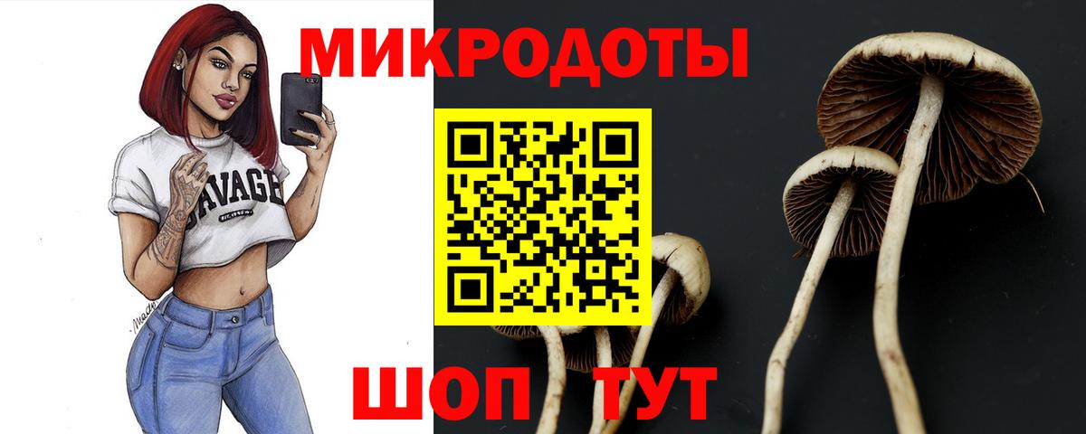 Северск  Галлюциногенные грибы GOLDEN TEACHER  где продают наркотики  Вход с VPN 